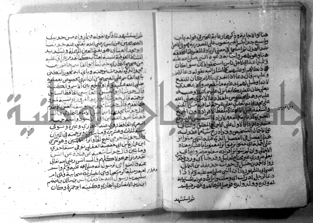 نسيم الرياض 3 