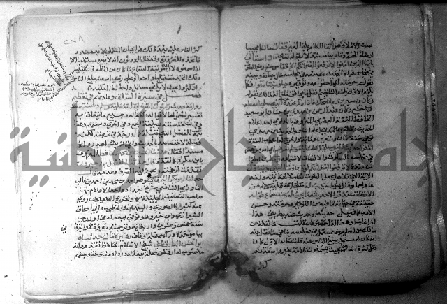 نسيم الرياض 3 