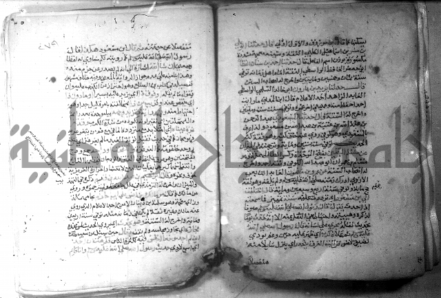 نسيم الرياض 3 