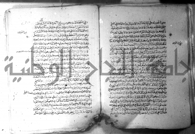 نسيم الرياض 3 