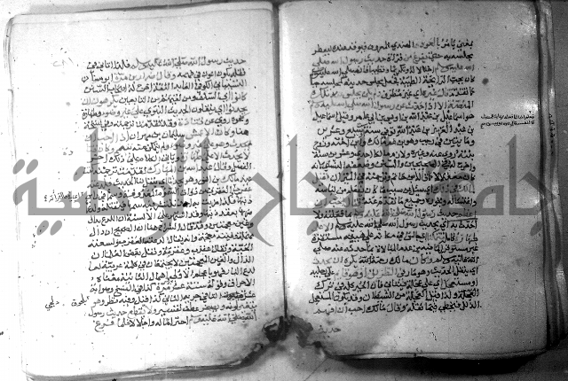 نسيم الرياض 3 