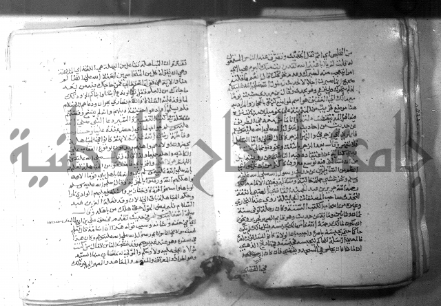 نسيم الرياض 3 