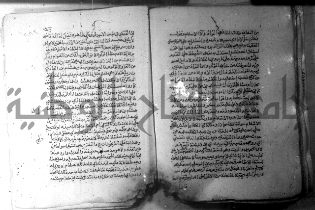 نسيم الرياض 3 