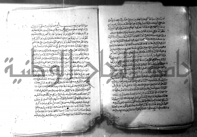 نسيم الرياض 3 