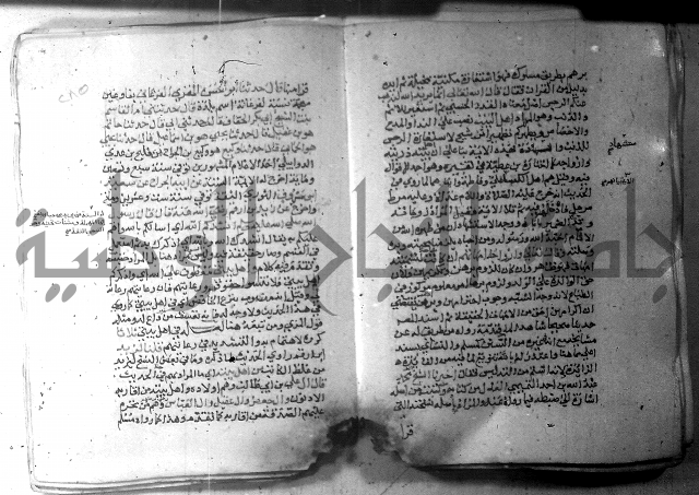 نسيم الرياض 3 