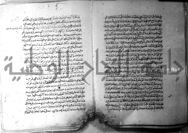 نسيم الرياض 3 