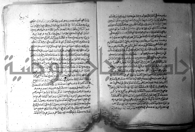 نسيم الرياض 3 