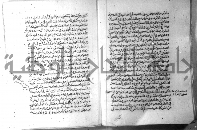 نسيم الرياض 3 