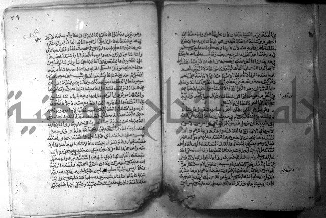 نسيم الرياض 3 