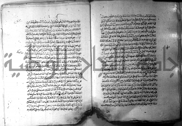 نسيم الرياض 3 