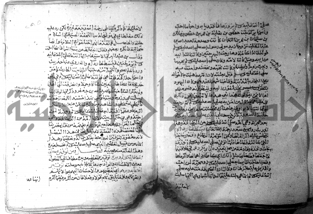 نسيم الرياض 3 