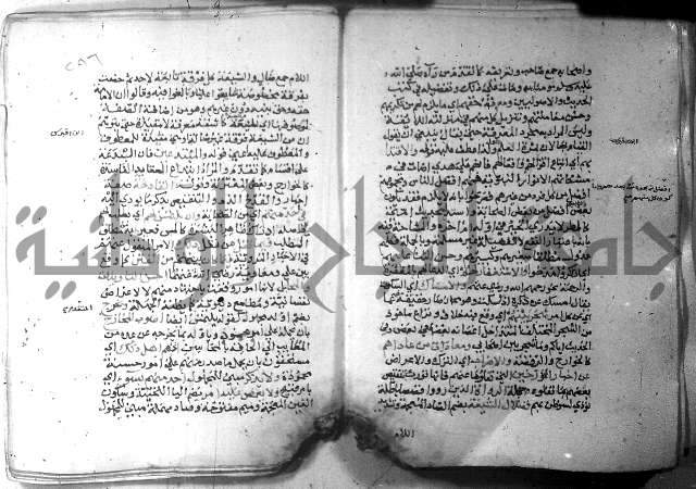 نسيم الرياض 3 