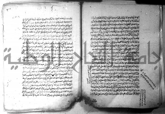 نسيم الرياض 3 