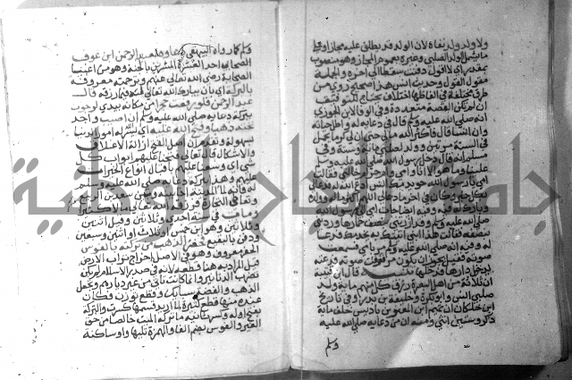 نسيم الرياض 3 