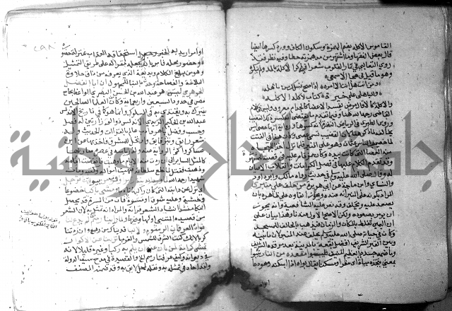 نسيم الرياض 3 