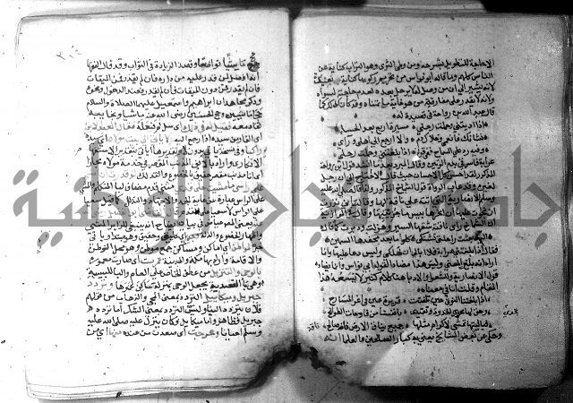 نسيم الرياض 3 