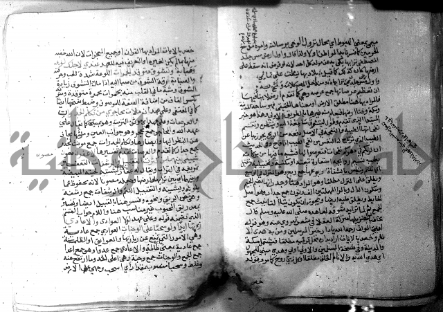 نسيم الرياض 3 