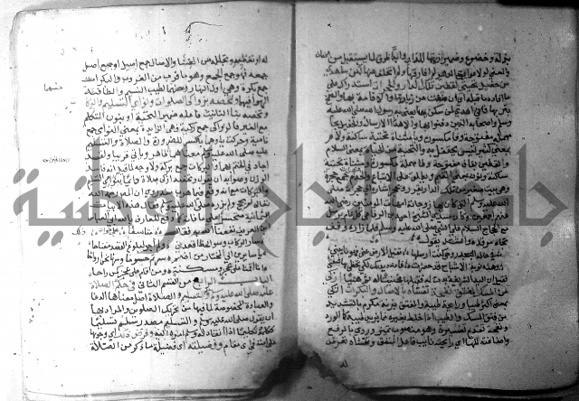 نسيم الرياض 3 