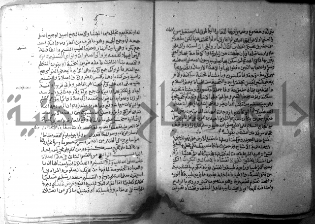 نسيم الرياض 3 