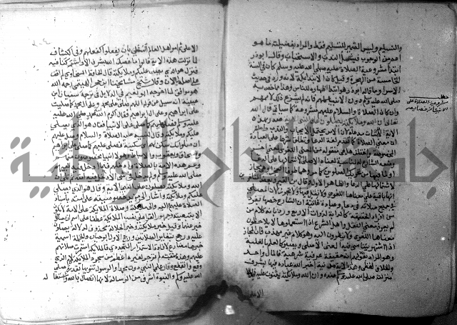 نسيم الرياض 3 