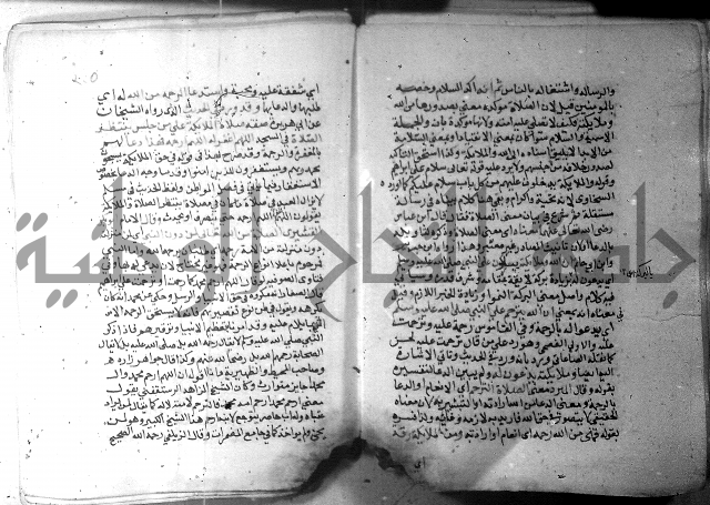 نسيم الرياض 3 