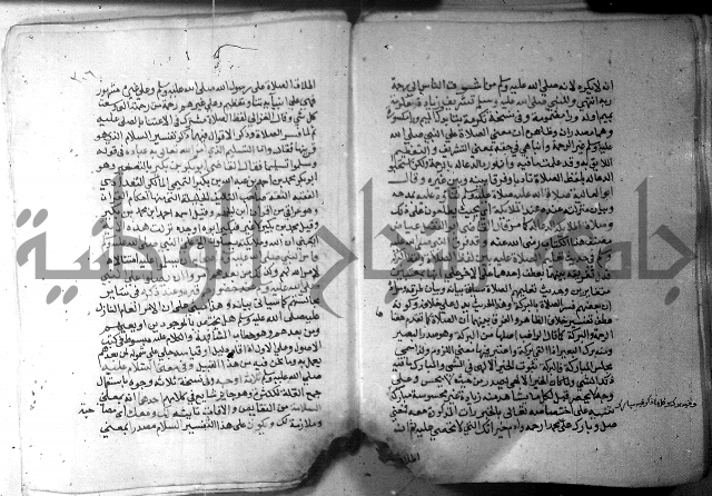 نسيم الرياض 3 