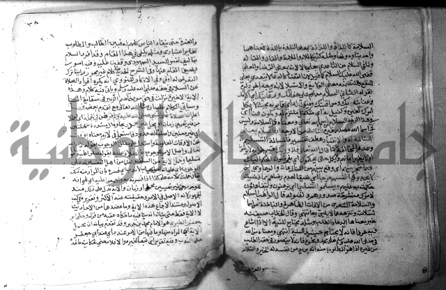 نسيم الرياض 3 