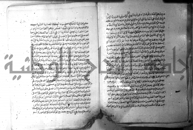 نسيم الرياض 3 