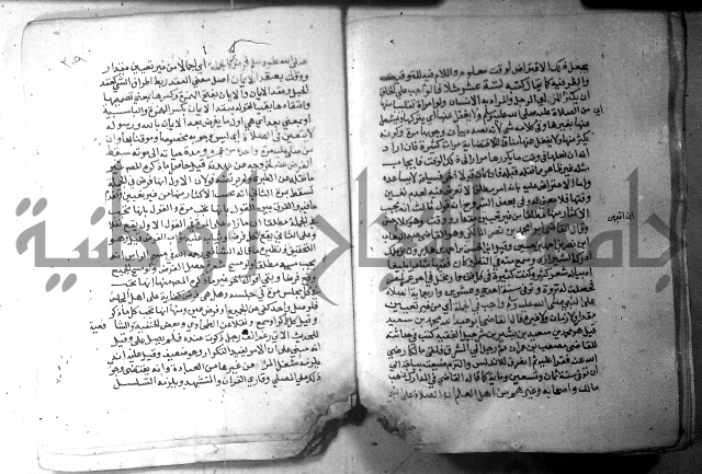 نسيم الرياض 3 