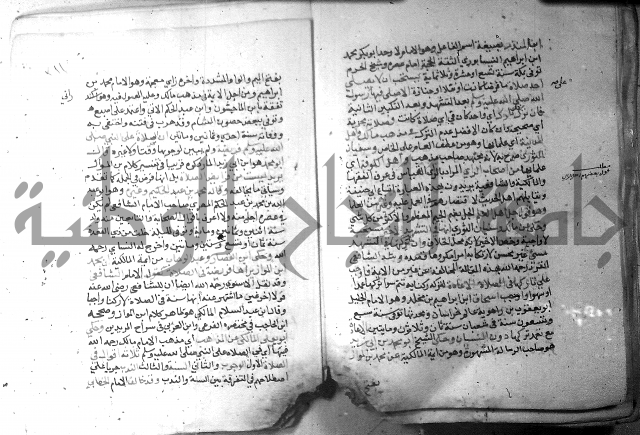 نسيم الرياض 3 