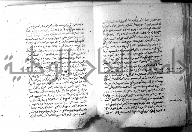 نسيم الرياض 3 