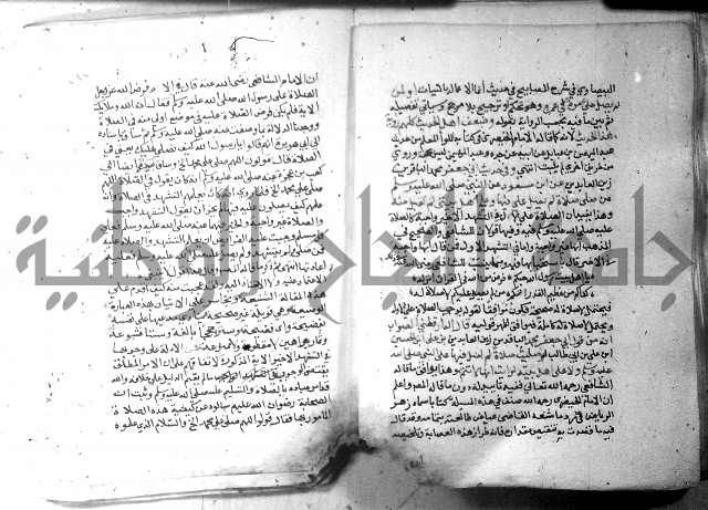 نسيم الرياض 3 