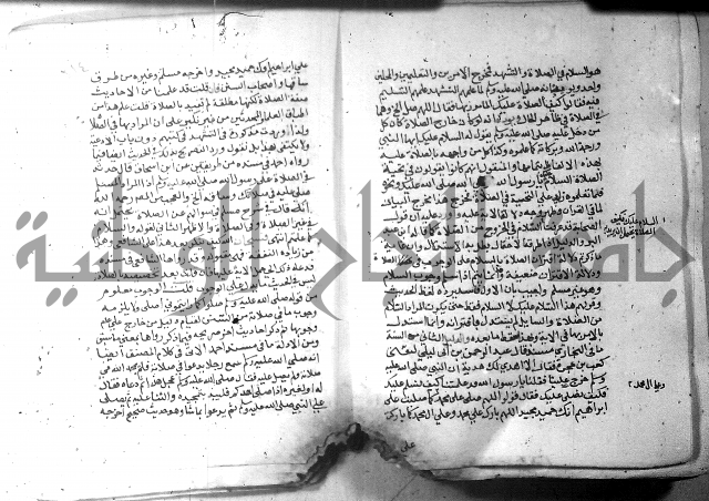 نسيم الرياض 3 