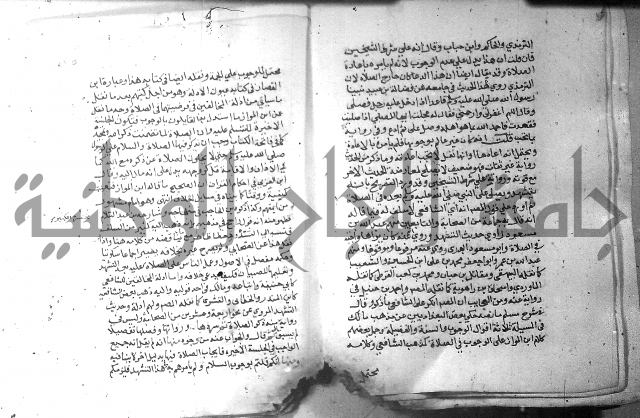 نسيم الرياض 3 