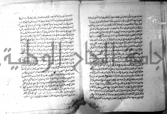 نسيم الرياض 3 