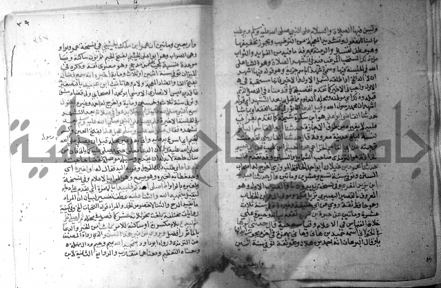 نسيم الرياض 3 