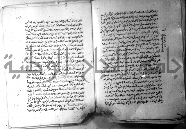 نسيم الرياض 3 