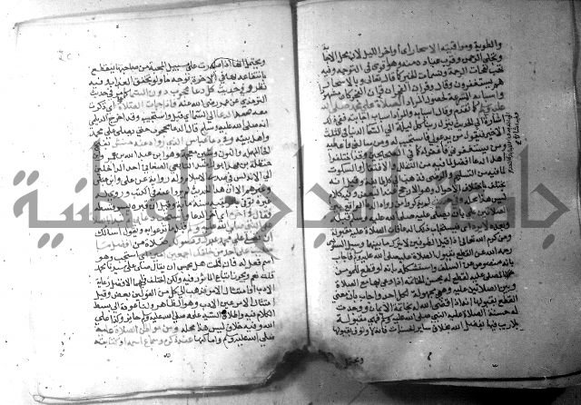 نسيم الرياض 3 