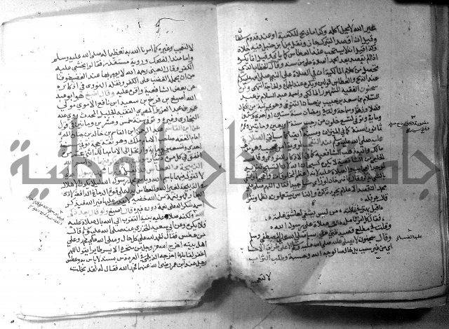 نسيم الرياض 3 