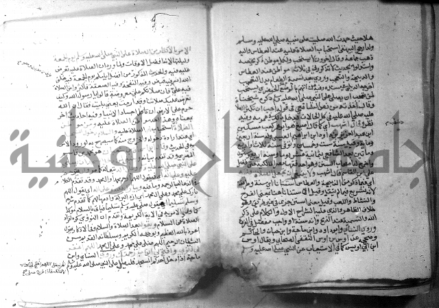 نسيم الرياض 3 