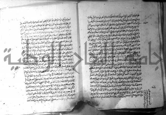 نسيم الرياض 3 