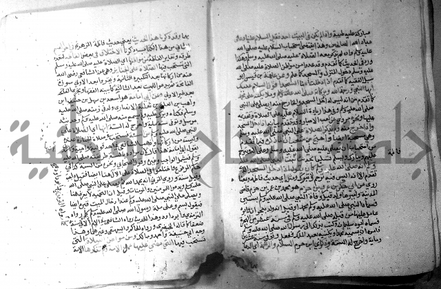 نسيم الرياض 3 