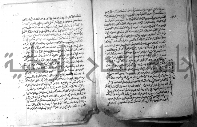 نسيم الرياض 3 