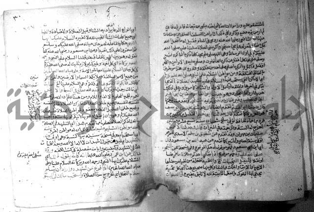 نسيم الرياض 3 