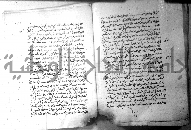 نسيم الرياض 3 