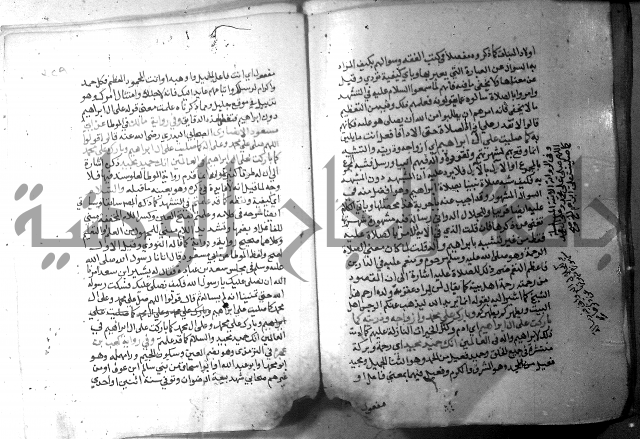 نسيم الرياض 3 