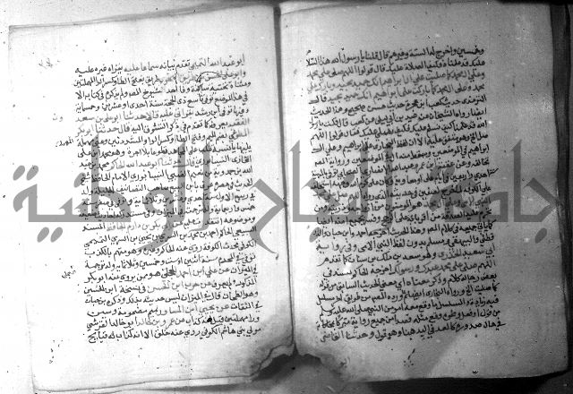 نسيم الرياض 3 