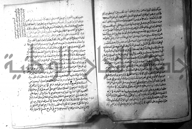 نسيم الرياض 3 