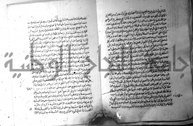 نسيم الرياض 3 