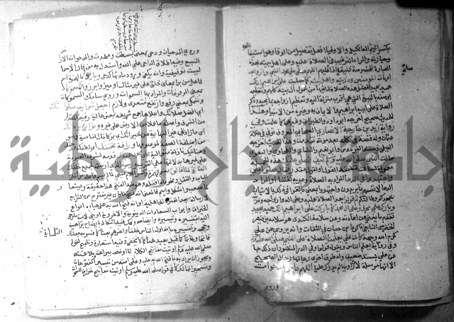 نسيم الرياض 3 